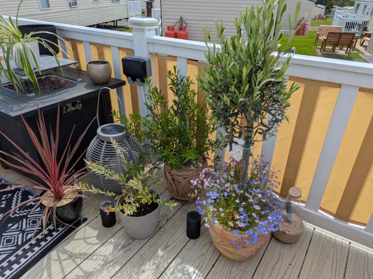 Small Space, Big Joy: Gardening on a Caravan&nbsp;Deck