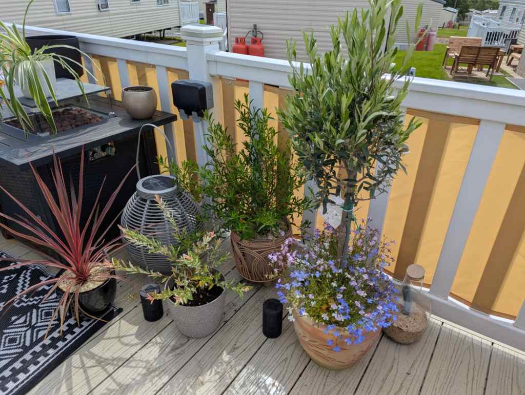 Small Space, Big Joy: Gardening on a Caravan&nbsp;Deck