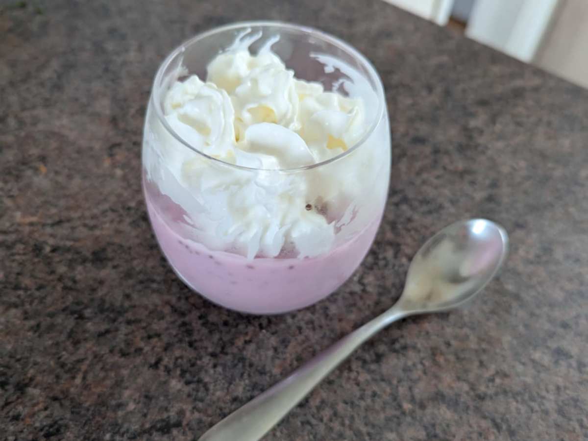 Low Calorie Panna&nbsp;Cotta