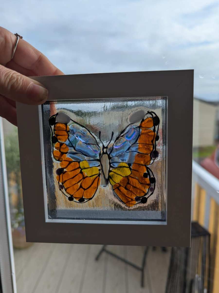 🦋 A Butterfly for the&nbsp;Future