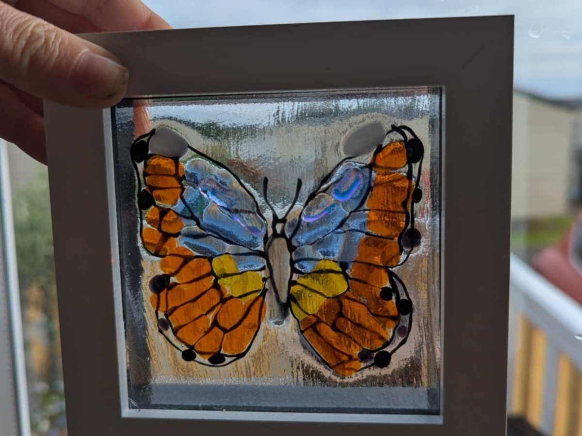 🦋 A Butterfly for the&nbsp;Future